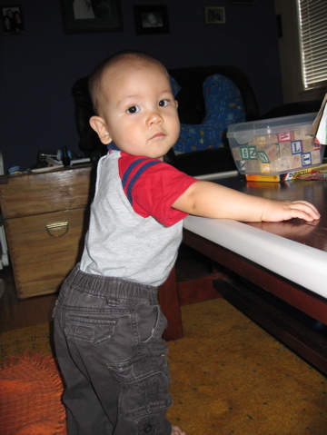 The view is great up here